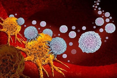 رمضان و روزه داری2